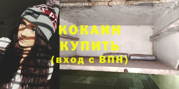 молекула духа Пестово