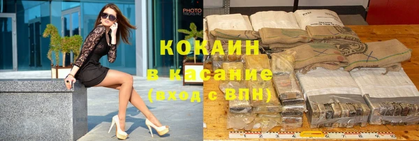 молекула духа Пестово